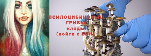 прущий лед Абаза
